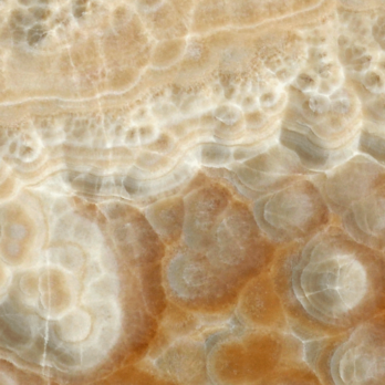 Bubble Onyx 101