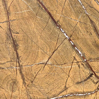 Rain Forest Brown 102