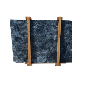 Black Olive 1010